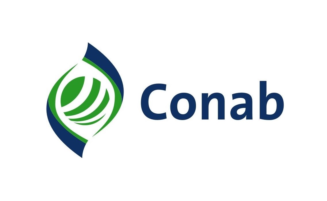 Conab’s first estimate forecasts Brazilian production at 55.7 million bags in 2022, up 16.8%