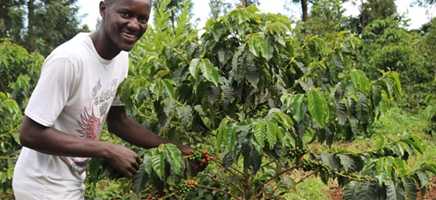 Investing in the future of coffee