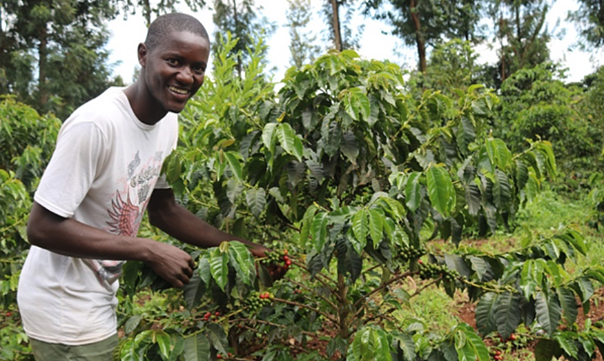Investing in the future of coffee